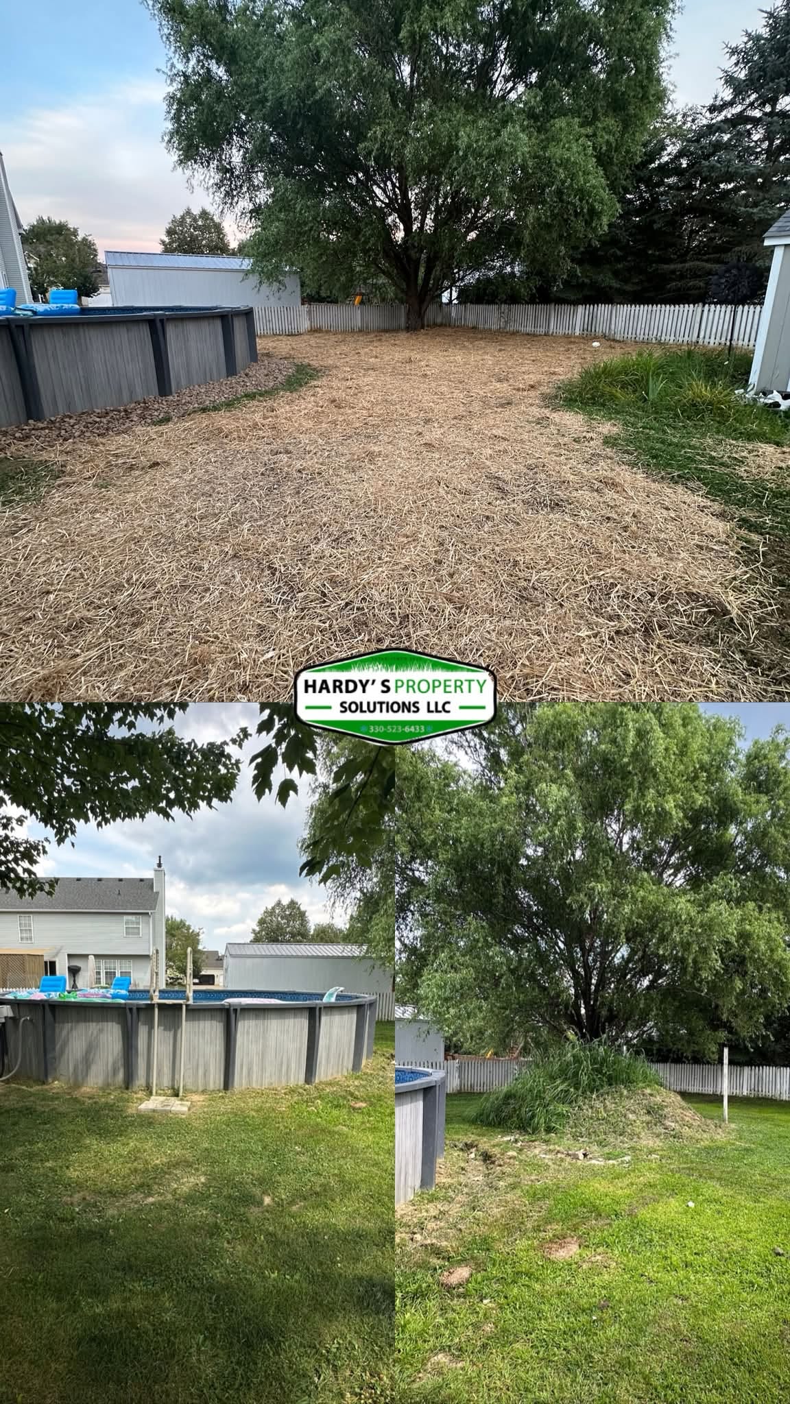 Before-and-after brush clearing around a backyard swimming pool