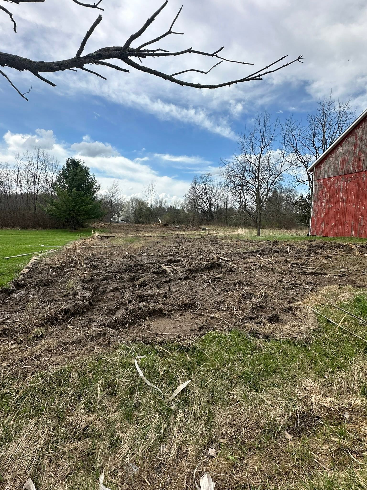 Recently cleared land beside a red barn