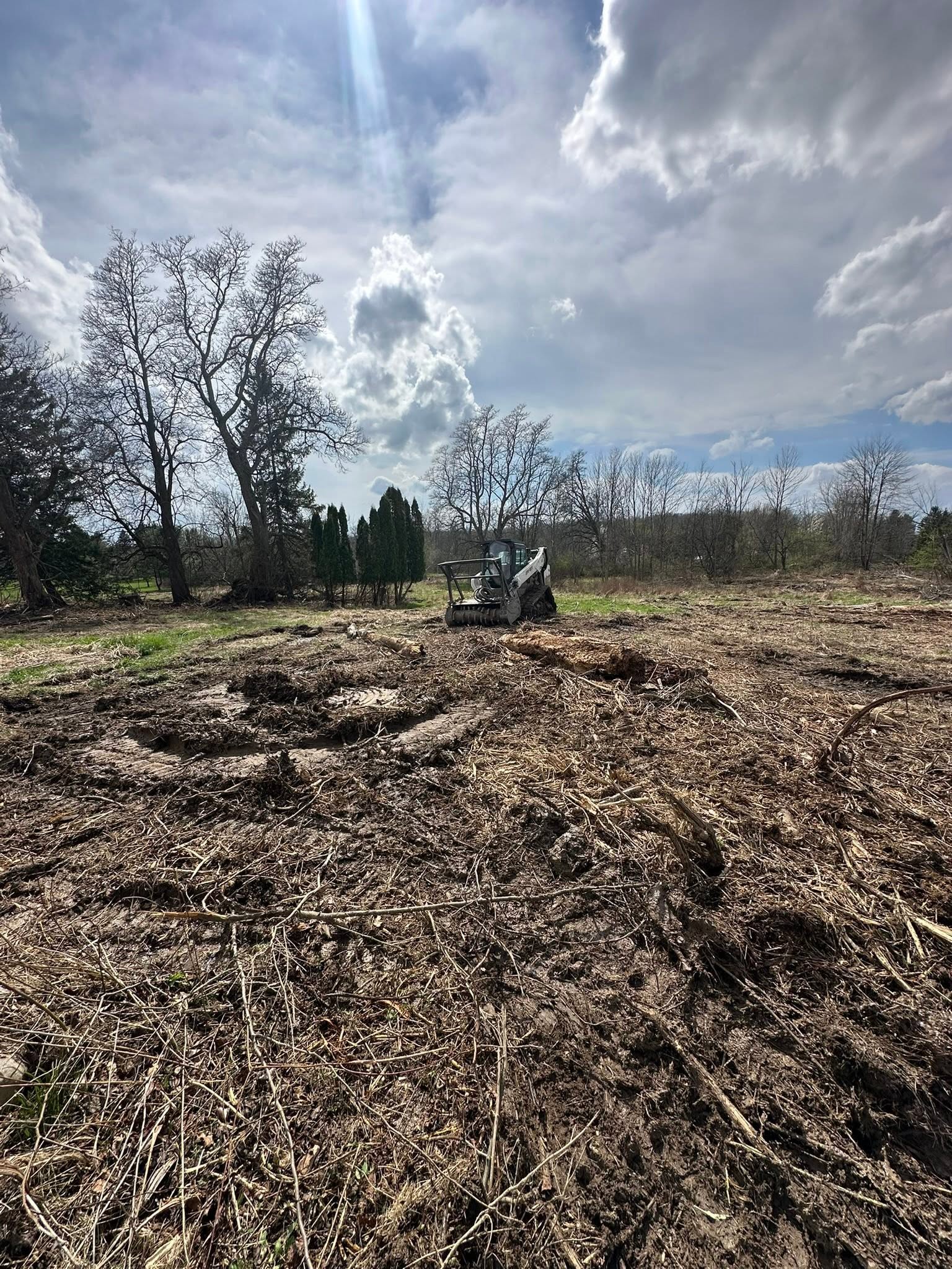 Skid steer mulching and clearing an overgrown lot