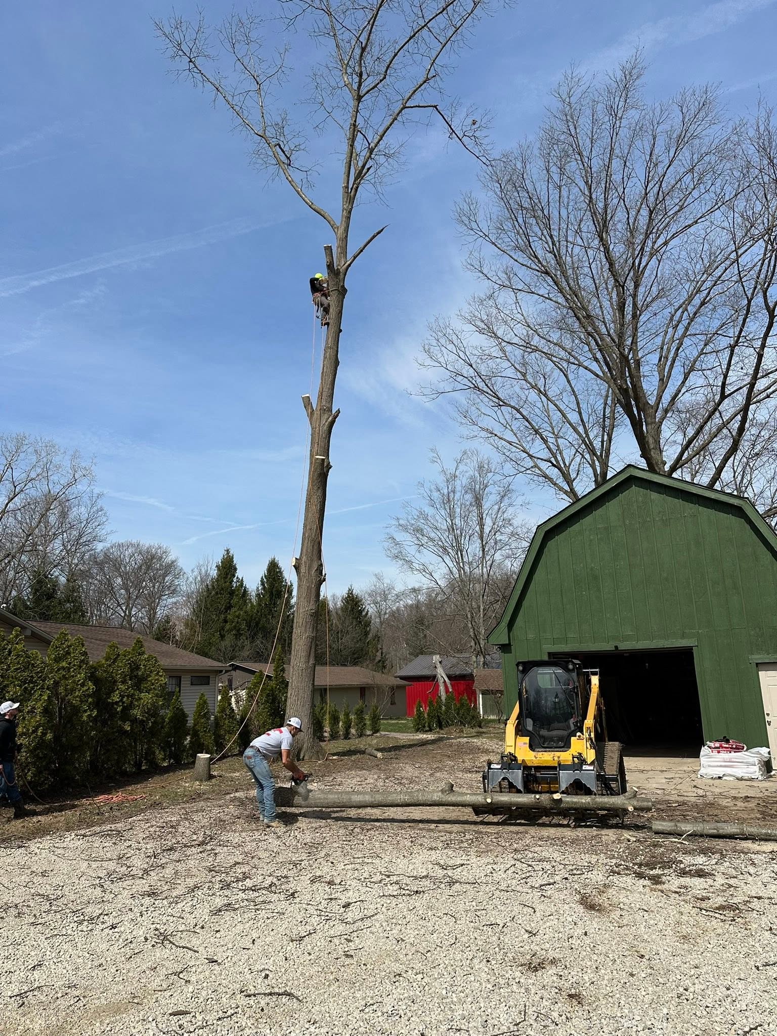Climber removing a tall tree in sections beside a residential garage