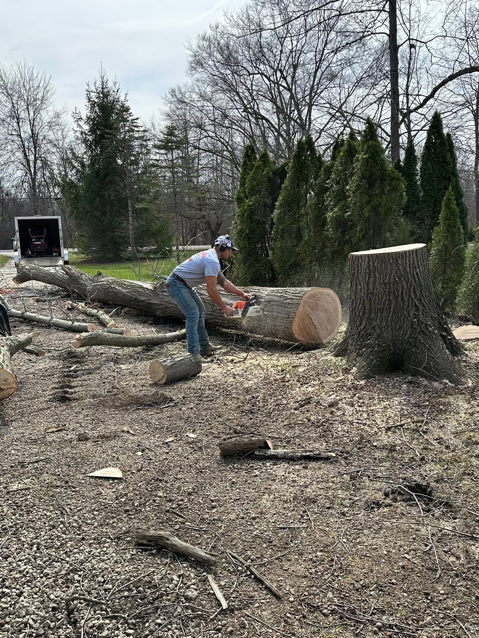 Worker cutting a large tree trunk during residential tree removal