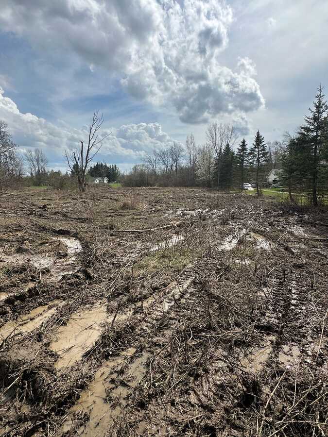 Cleared property after brush and land work