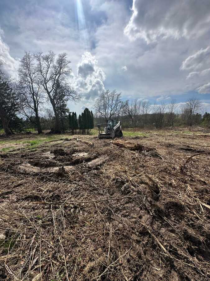 Skid steer clearing brush and land