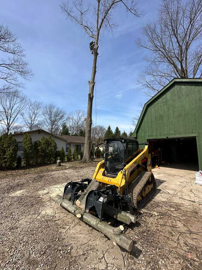 Skid steer and tree work on a residential property