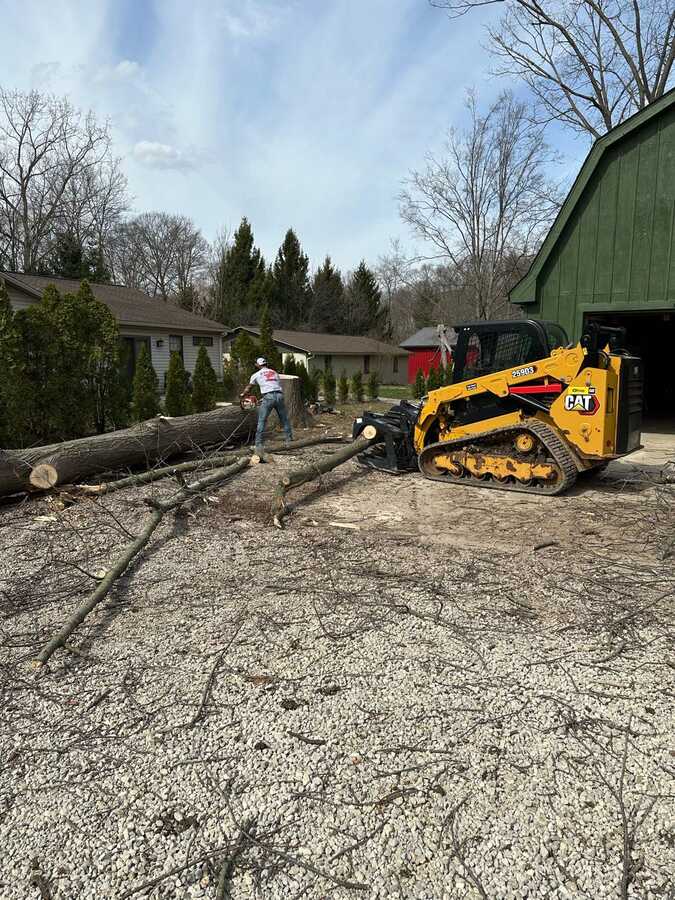 Skid steer moving cut tree sections